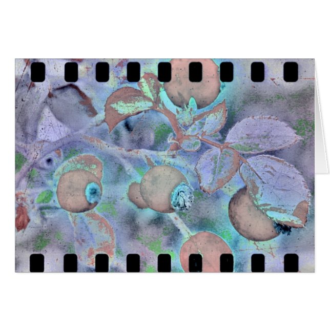 Film rose 3 (Devant horizontal)