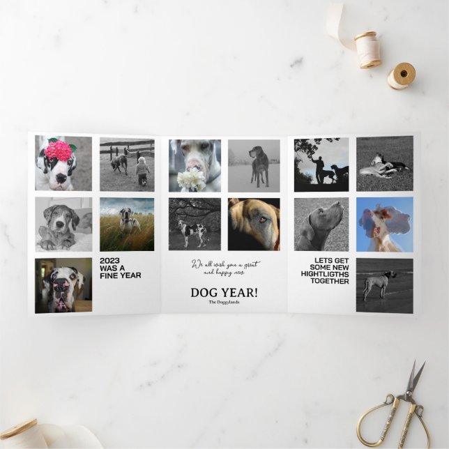 Fin D'année Trois Volets Rétrospective de l'année Photos Carte (Intérieur)