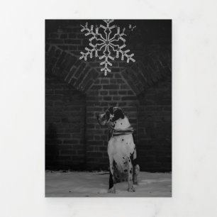 Fin D'année Trois Volets Rétrospective de l'année Photos Carte