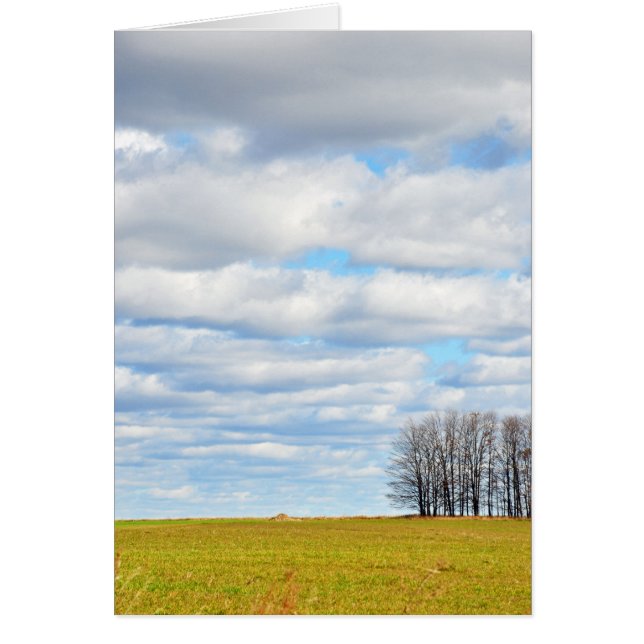 Fin de la ligne d'arbre (Devant)