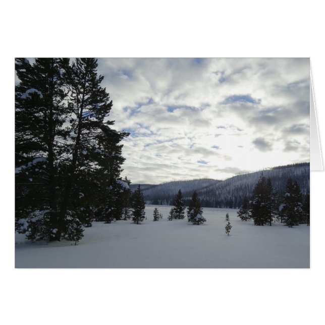 Fin d'une journée de neige dans le parc national d (Devant horizontal)