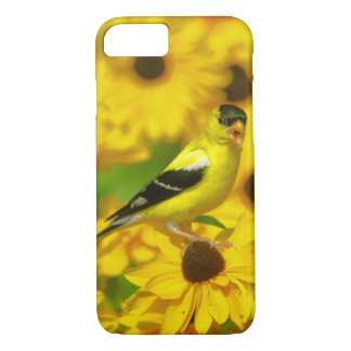 Finch jaune à peine Il iPhone 7 Coque