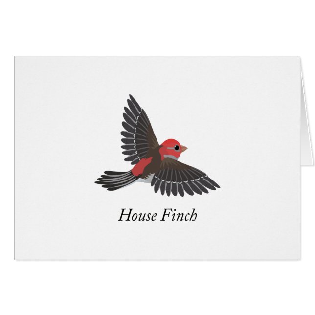 Finch Maison (Devant Horizontal)