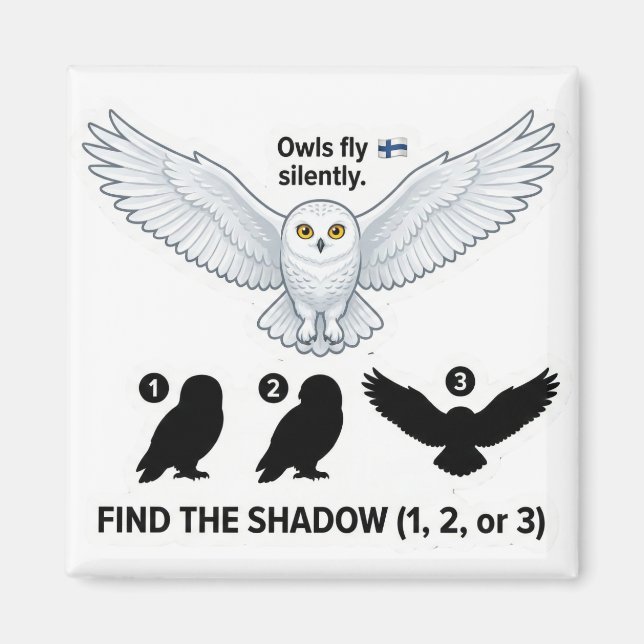 Find the Shadow – Snowy Owl Learning Magnet (Devant)