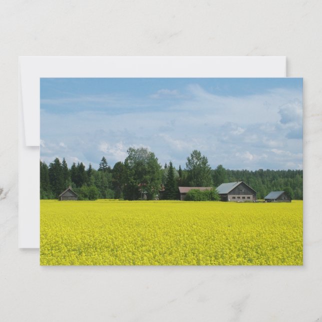 Finlande Campagne invitation / faire-part (Devant)