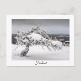 Finlande carte postale souvenir hiver