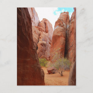 Fins, Parc National Des Arches, Utah, Carte Postal