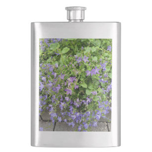 Fiole de jardin de clématite violette