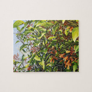 Firebush avec le puzzle de colibri et d'insectes