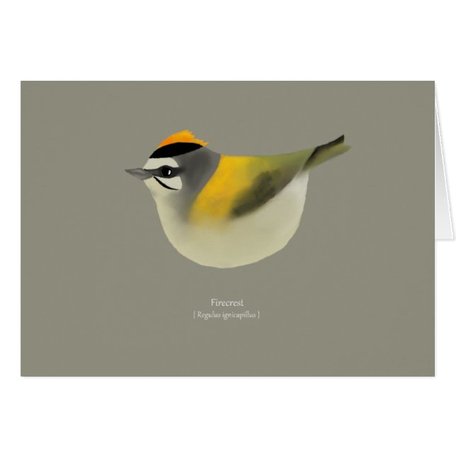 Firecrest (Devant horizontal)