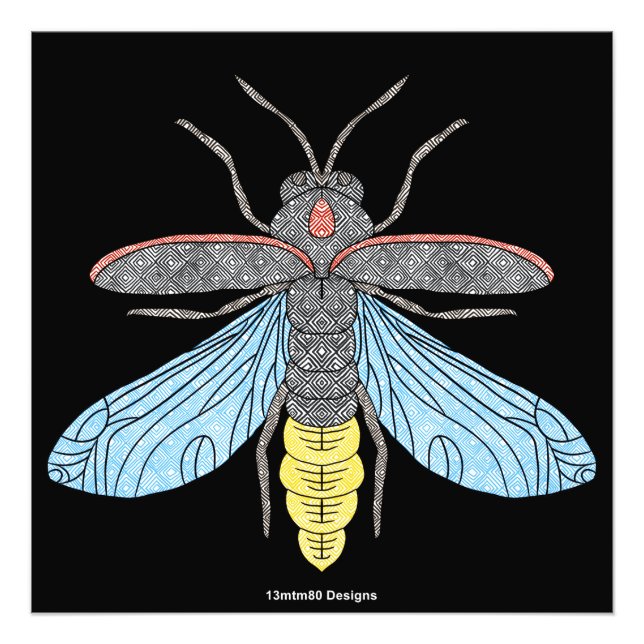 Firefly (noir) - Impression photo (Devant)