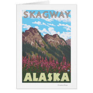 Fireweed et montagnes - Skagway, Alaska