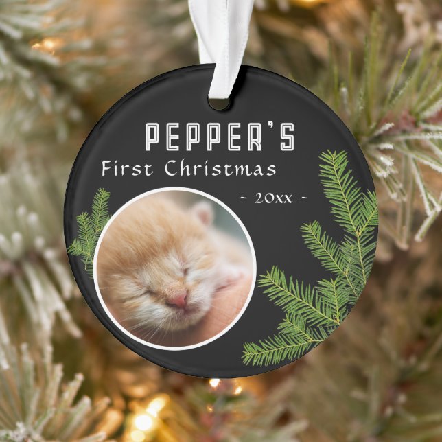 First Christmas Pine Kitten Cat 2 Photo Keepsake (Arbre)