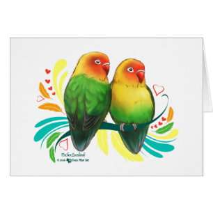 Fischer Lovebirds