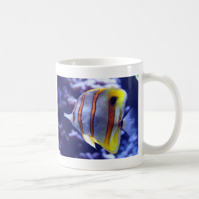FISHER LA TASSE DE POISSONS (Droite)