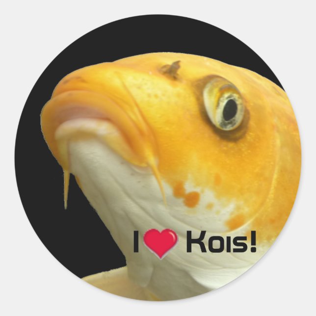 Fishies - Koi no.5 - I love Kois ! Autocollants (Devant)