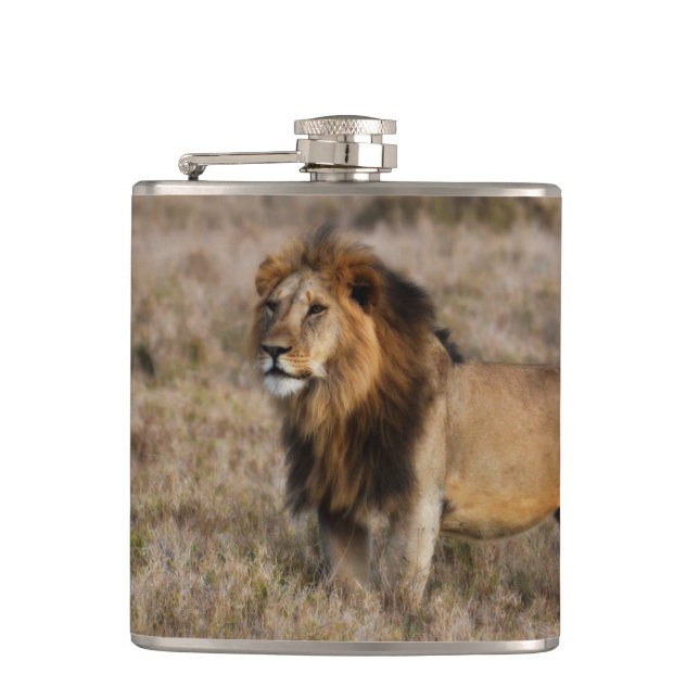 Flacon de lion africain (Devant)