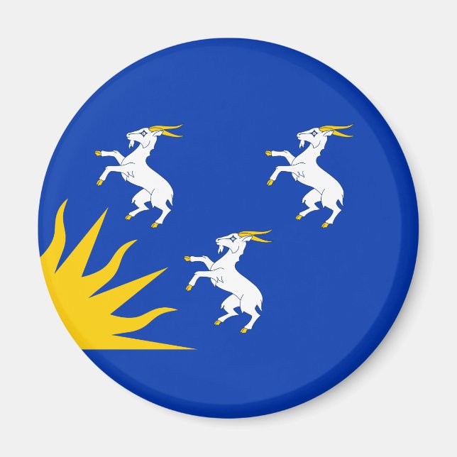 Flag of Merionethshire Magnet (Devant)