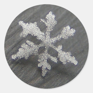 Flake de neige 44 ~ autocollants