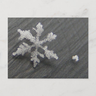Flake de neige 44 ~ carte postale