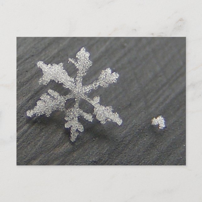 Flake de neige 44 ~ carte postale (Devant)