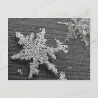 Flake de neige 45 ~ carte postale