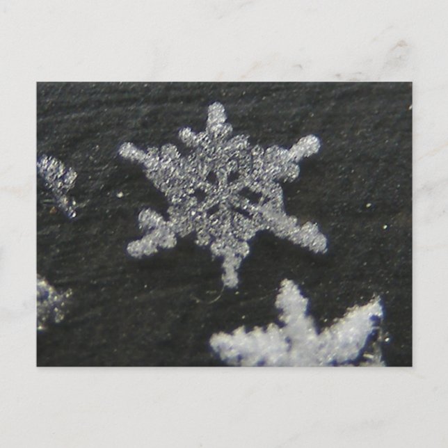 Flake de neige 56 ~ carte postale (Devant)