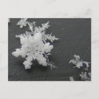 Flake de neige 73 ~ carte postale