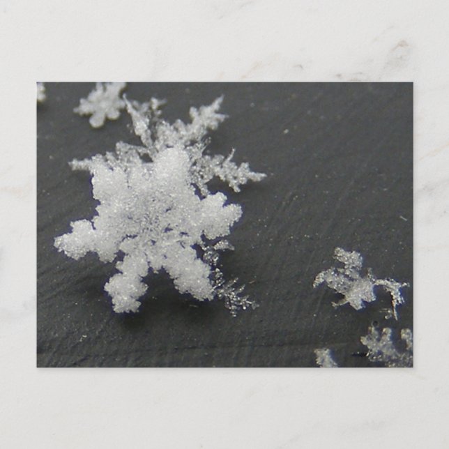 Flake de neige 73 ~ carte postale (Devant)
