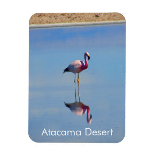 Flamant rose Atacama Désert Magnet flexible
