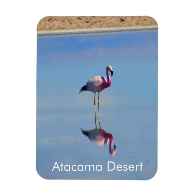 Flamant rose Atacama Désert Magnet flexible (Vertical)