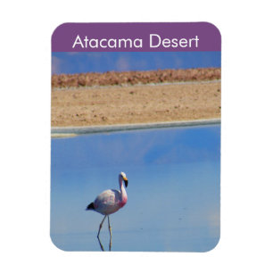 Flamant rose Atacama Désert Magnet flexible