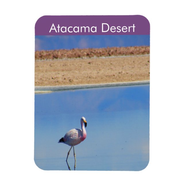 Flamant rose Atacama Désert Magnet flexible (Vertical)
