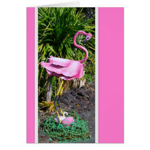 Flamant rose avec la carte de boîte aux lettres de