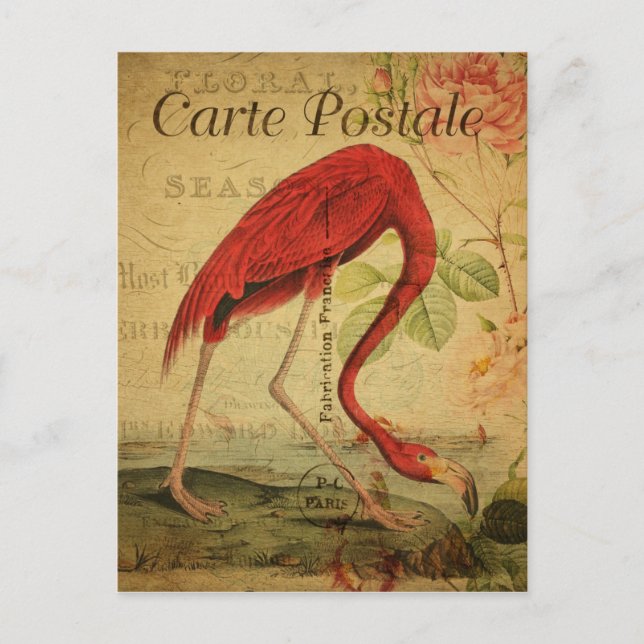 Flamant rose de style vintage Carte française Post (Devant)