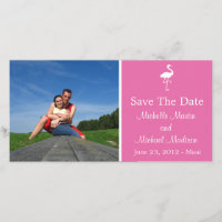 Flamant rose Enregistrer La Carte Photographique D