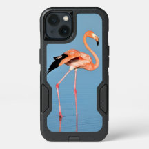 Flamant rose Lake Walk | Oiseaux