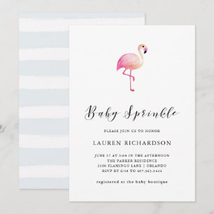 Flamant rose moderne   Invitation de l'aspersion d