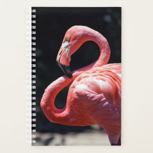 Flamant rose Planificateur hebdomadaire/mensuel