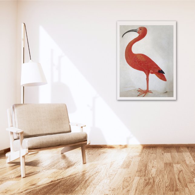 Flamant rose - Poster d'art Vintage (Créateur téléchargé)