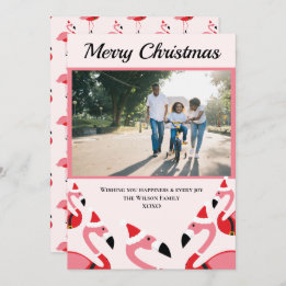 Flamant rose rose Père Noël Photo Noël