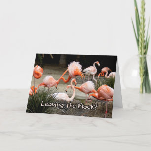 Flamant rose Rose Quittant La Carte D'Adieu Flock