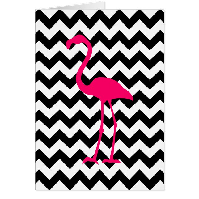 Flamant rose rose vif Zigzag noir et blanc (Devant)