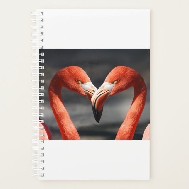 Flamant rose Valentine (Devant)