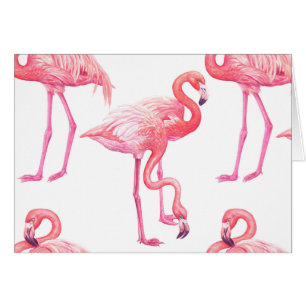 Flamants roses