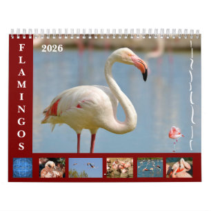 Flamants roses calendrier 12 mois