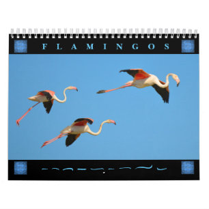 Flamants roses calendrier 12 mois