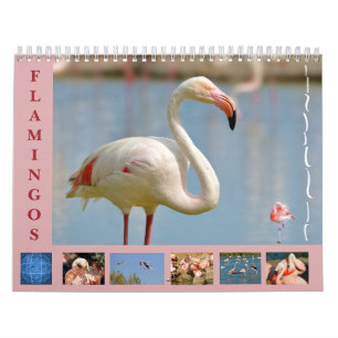 Flamants roses calendrier 12 mois