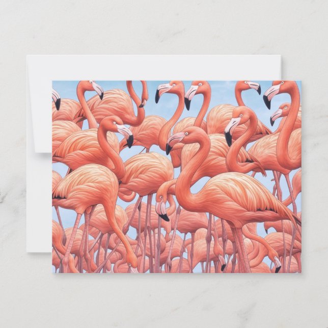 Flamants roses, Carte de vœux (Devant)
