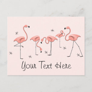 Flamants roses Carte postale de groupe rose